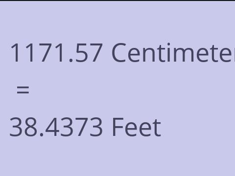 1171.57 CM TO FEET