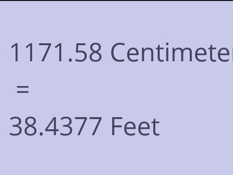 1171.58 CM TO FEET