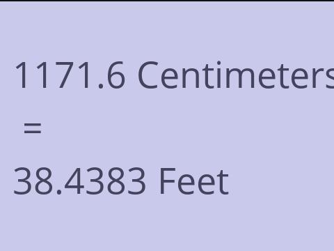 1171.6 CM TO FEET