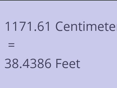 1171.61 CM TO FEET