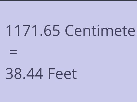 1171.65 CM TO FEET