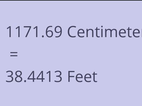 1171.69 CM TO FEET