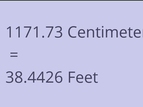 1171.73 CM TO FEET