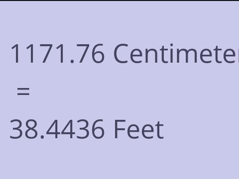 1171.76 CM TO FEET