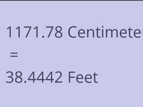 1171.78 CM TO FEET