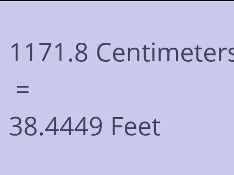 1171.8 CM TO FEET