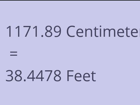 1171.89 CM TO FEET