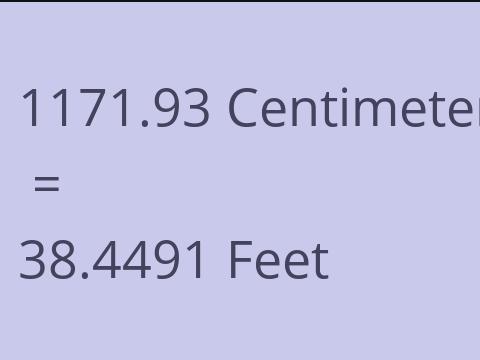 1171.93 CM TO FEET