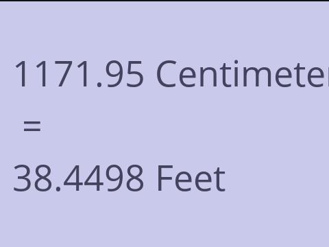 1171.95 CM TO FEET