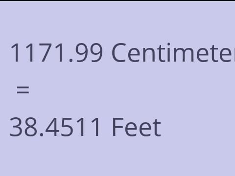 1171.99 CM TO FEET