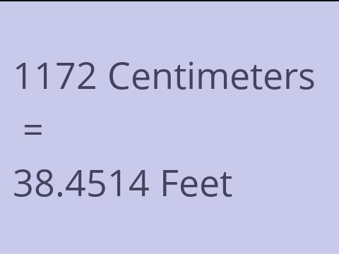 1172 CM TO FEET