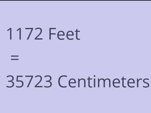 1172 FEET TO CM