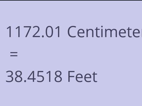 1172.01 CM TO FEET