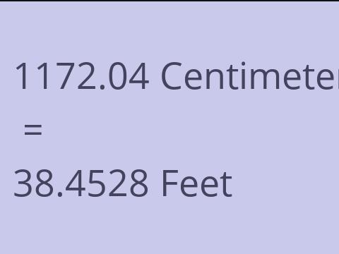 1172.04 CM TO FEET