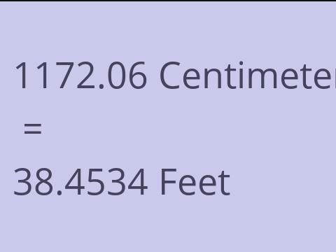 1172.06 CM TO FEET