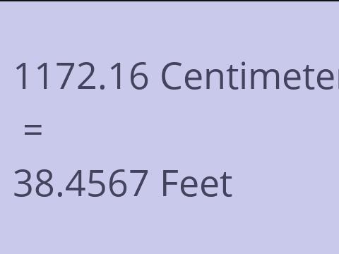 1172.16 CM TO FEET