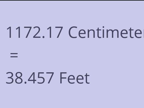 1172.17 CM TO FEET