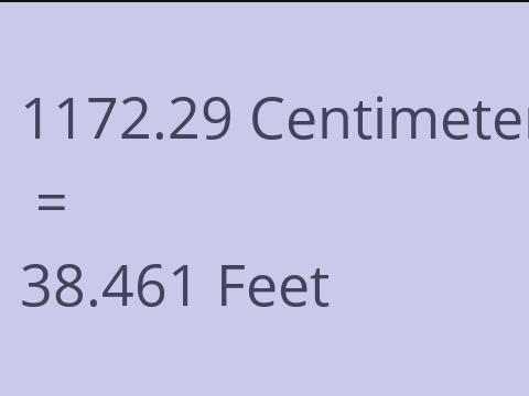 1172.29 CM TO FEET