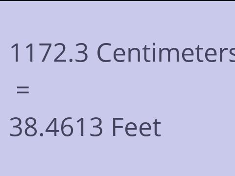 1172.3 CM TO FEET