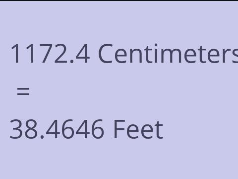 1172.4 CM TO FEET