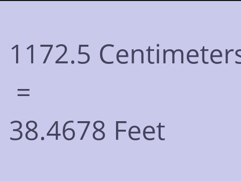 1172.5 CM TO FEET