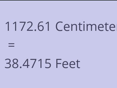 1172.61 CM TO FEET