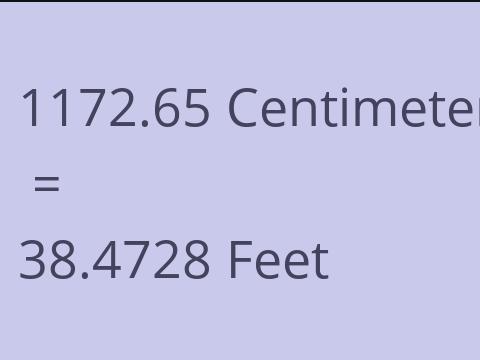 1172.65 CM TO FEET