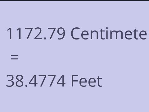 1172.79 CM TO FEET