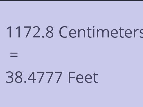 1172.8 CM TO FEET