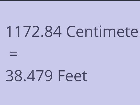 1172.84 CM TO FEET