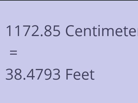 1172.85 CM TO FEET