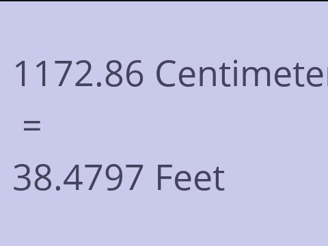 1172.86 CM TO FEET