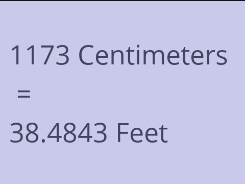 1173 CM TO FEET