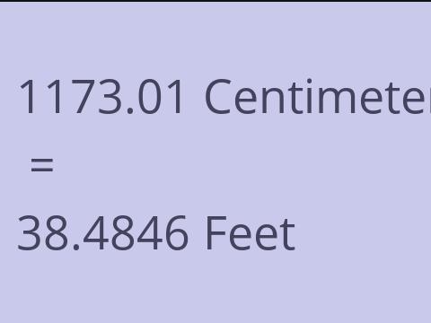 1173.01 CM TO FEET