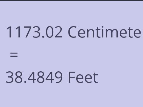 1173.02 CM TO FEET