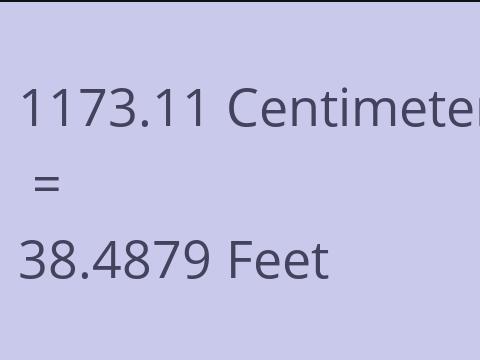 1173.11 CM TO FEET