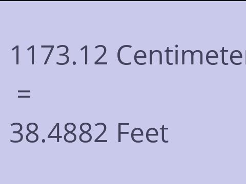 1173.12 CM TO FEET