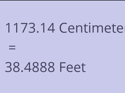 1173.14 CM TO FEET