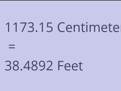 1173.15 CM TO FEET