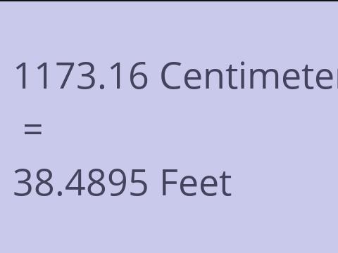 1173.16 CM TO FEET