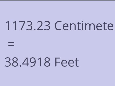 1173.23 CM TO FEET