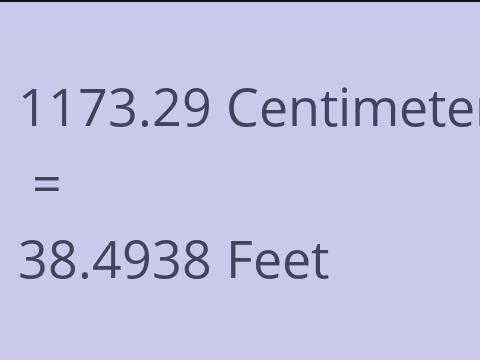 1173.29 CM TO FEET