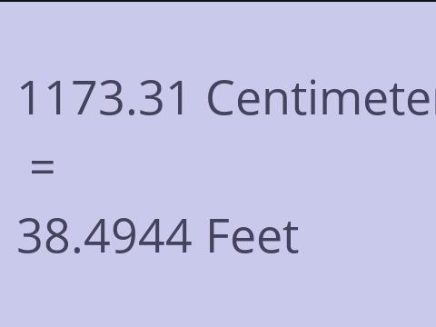 1173.31 CM TO FEET