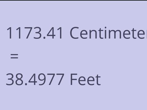 1173.41 CM TO FEET