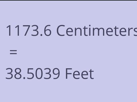 1173.6 CM TO FEET