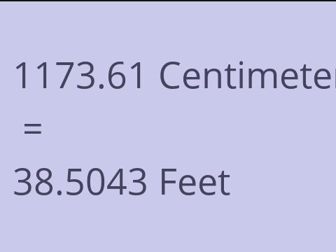 1173.61 CM TO FEET