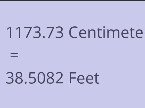 1173.73 CM TO FEET