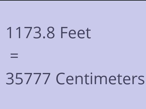 1173.8 FEET TO CM