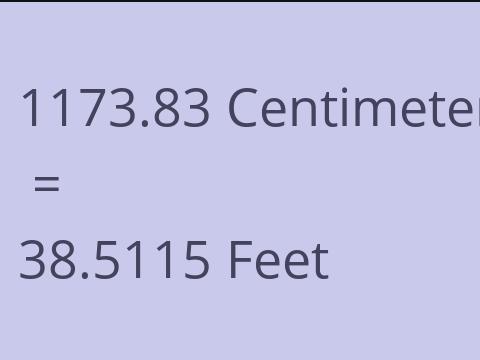 1173.83 CM TO FEET