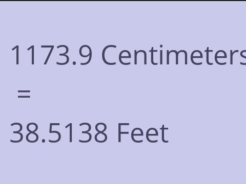 1173.9 CM TO FEET